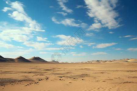 荒野中的沙漠图片