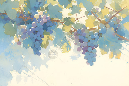 树上成熟的葡萄图片