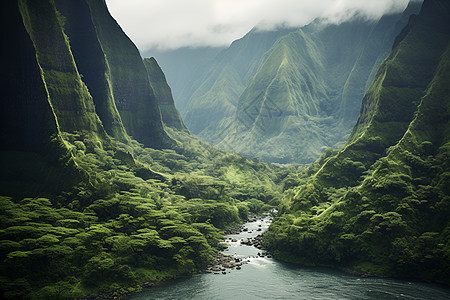 山谷河流蜿蜒图片