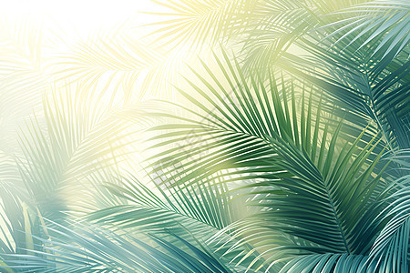 绿意盎然美丽的棕榈树背景图片