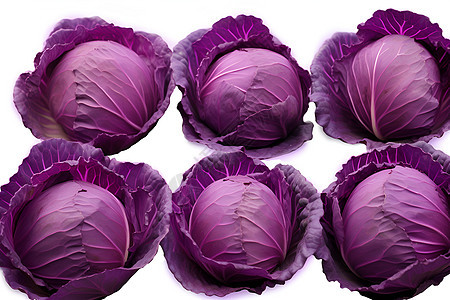 紫色的蔬菜图片