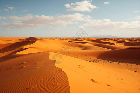 沙漠之旅图片