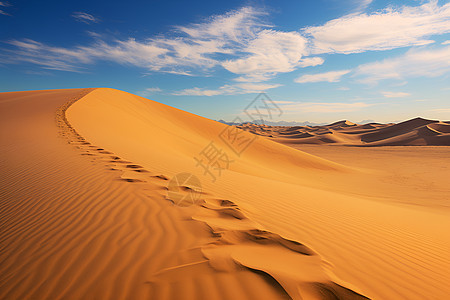 大风吹过的大沙丘图片