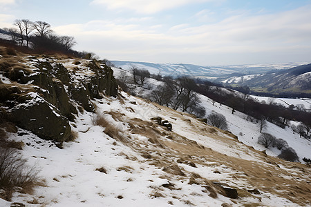 积雪山峰上的树林图片