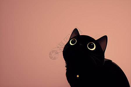 美艳的黑猫图片