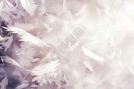 柔软的白色羽毛图片