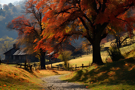 秋日的乡村图片