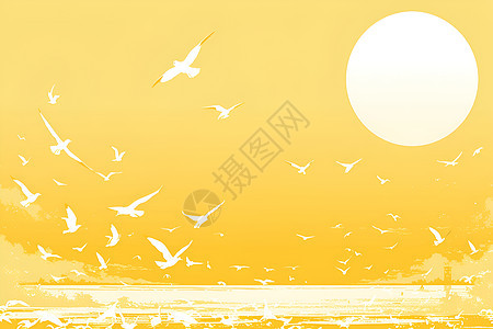 落日下飞行的海鸥图片