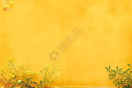 黄色调的墙壁和植物图片