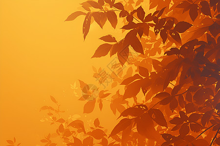 树叶在黄色背景上图片