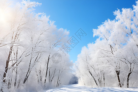 白雪皑皑的的风景图片