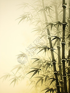 传统竹子插画图片