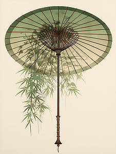 翠竹伴绿伞图片