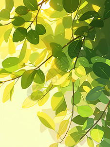 树叶上的阳光图片