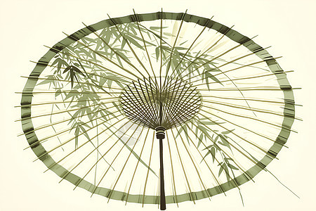 翠竹绿伞图片