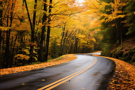 秋天的弯曲公路图片
