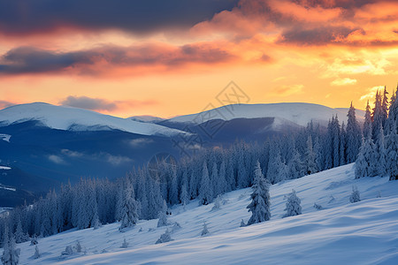 冬日山林的日落景色图片