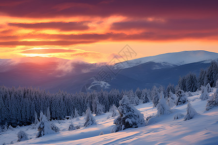 夕阳下的雪山图片