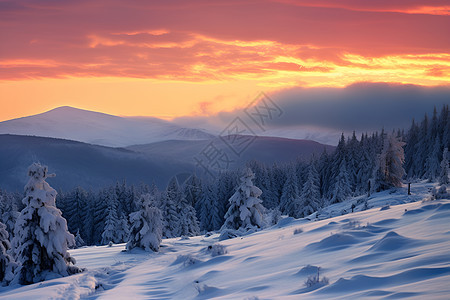 冬日山脉的雪景图片