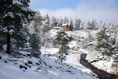 冬天雪地的风景图片