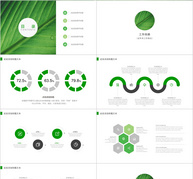 绿色通用工作总结PPT模板ppt文档