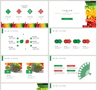 简约食品安全宣传PPT模板ppt文档