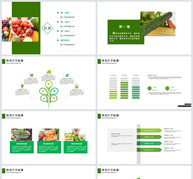 农业招商农产品宣传PPT模板ppt文档