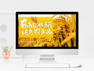 有机水稻农产品PPT模板图片