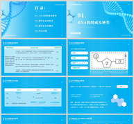 蓝色简约高中生物基因表达课件模板ppt文档