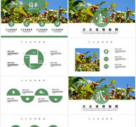 简约处暑节气PPT模板ppt文档