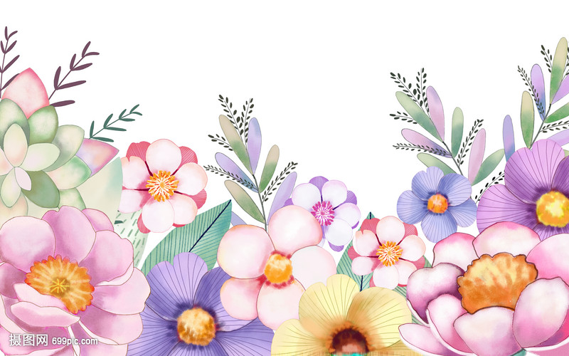 云南非洲菊自主育种屡获打破抢先全国