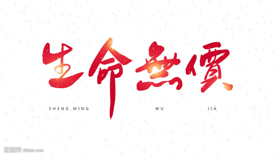 生命无价字体设计