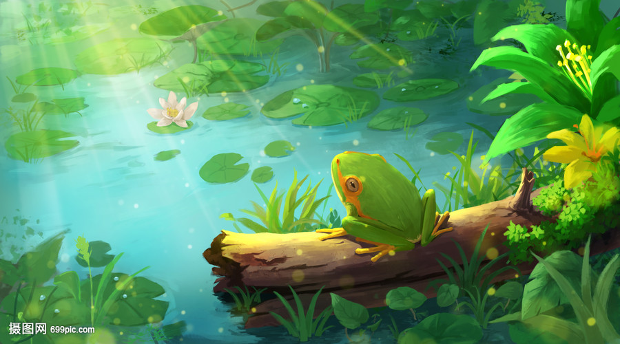 夏天夏季夏至荷塘池塘青蛙