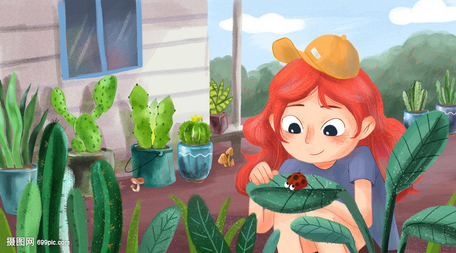 夏季庭院看瓢虫