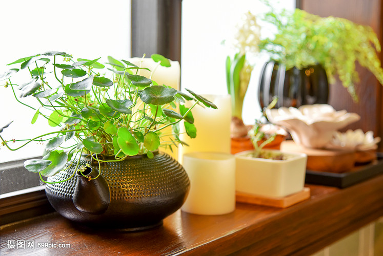 现代简约欧式风格家庭生活小摆件小装饰窗台小