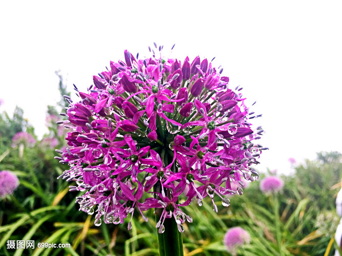 贵州遵义习水县城和周边环境的一些风景
