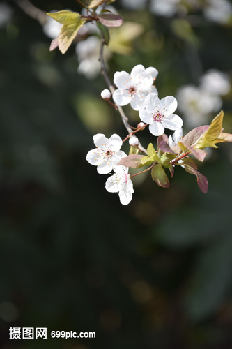 贵州遵义习水县城和周边环境的一些风景