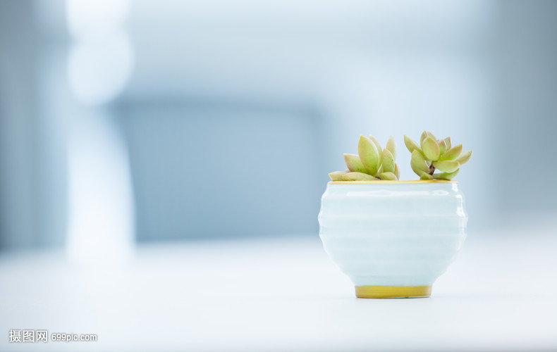 小清新桌面盆栽