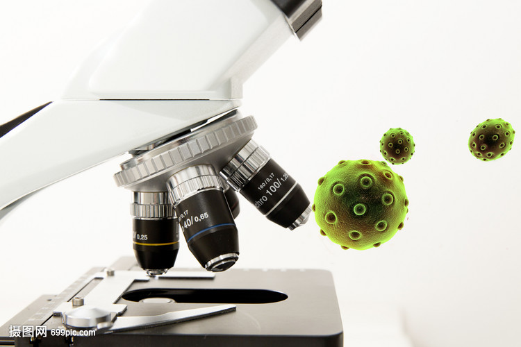 显微镜下的细胞真菌生物结构