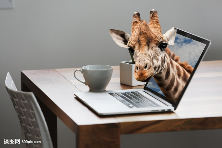 长颈鹿钻出电脑屏幕自然与科技结合