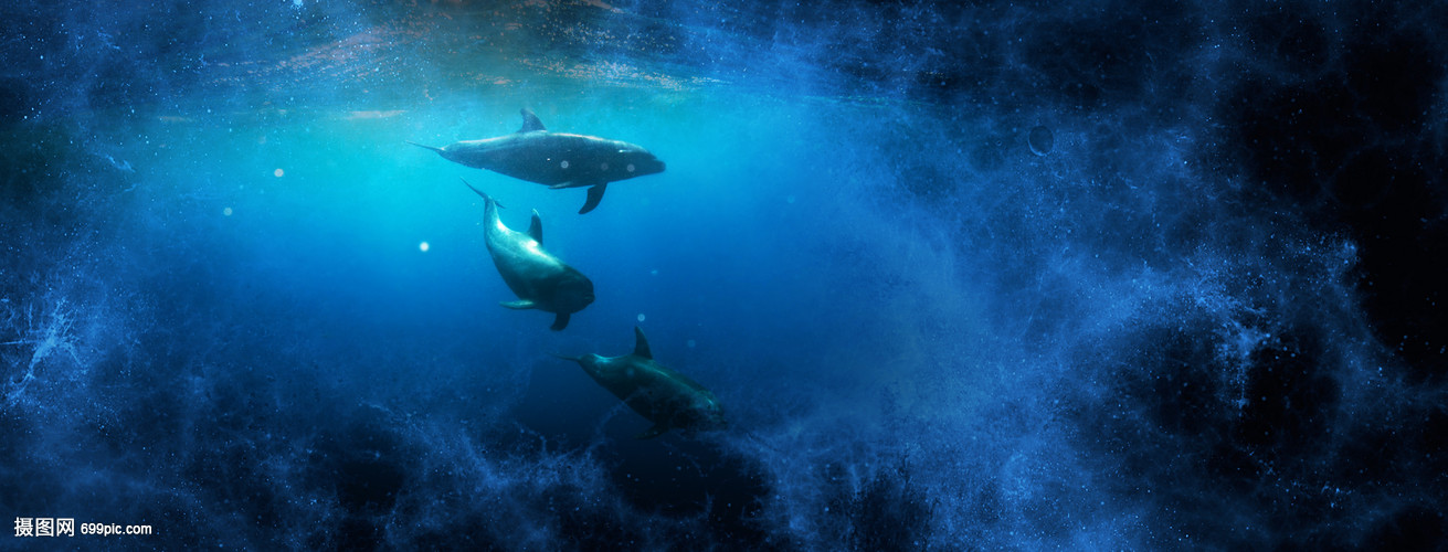 星河中的海豚 通往另一个世界
