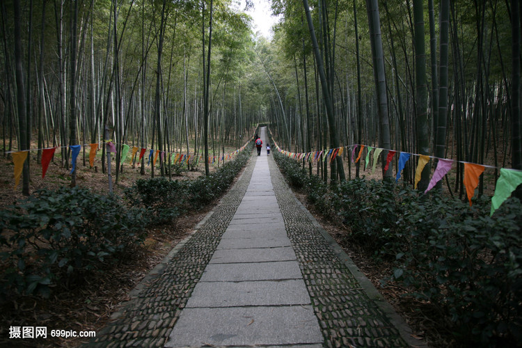 竹林中绵长意境小路