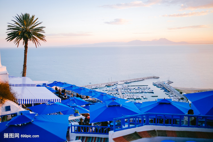 北非突尼斯蓝白小镇小清新港口