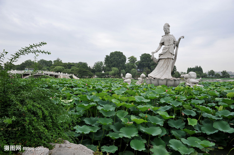 南京玄武湖荷花池莲花仙子雕像