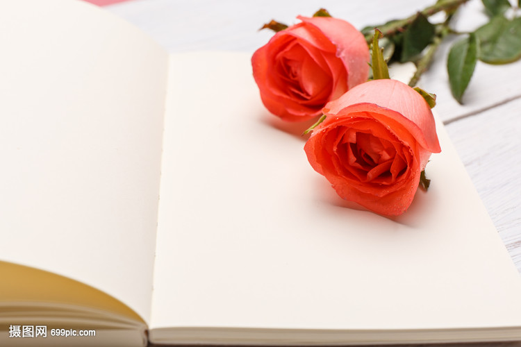 浪漫情人节七夕花与书