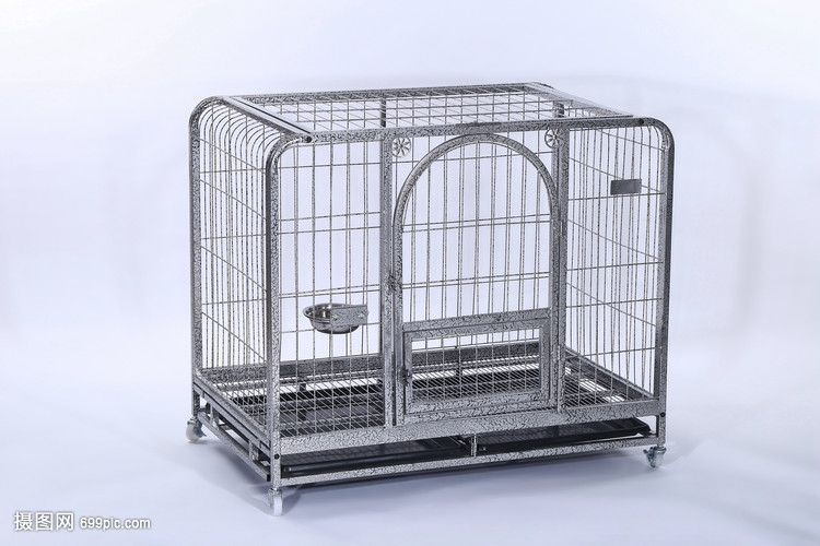 科学网—走进前门大街