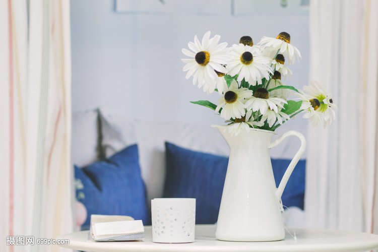 小清新桌面盆栽