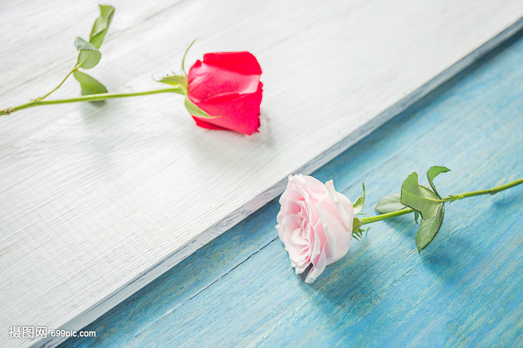 两支玫瑰花