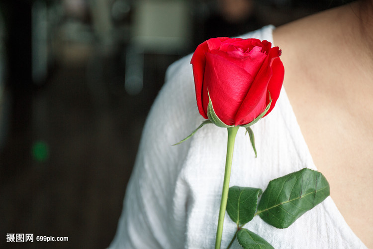 浪漫七夕手握玫瑰的少女