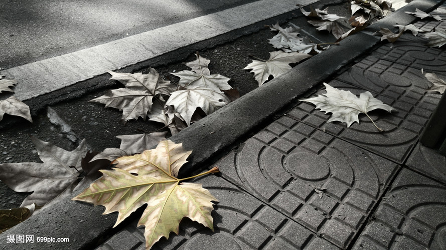 眼前的黑不是黑·你说的白是什么白